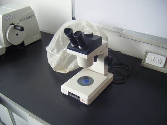 LEICA ZOOM-2000 连续变倍体视显微镜