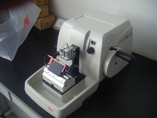Leica轮转式切片机