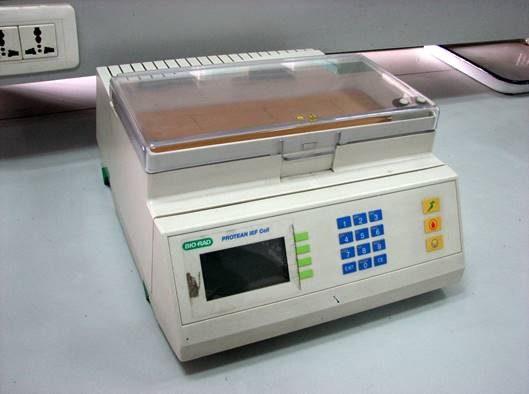 Bio-RadPROTEAN IEF(双向电泳)
