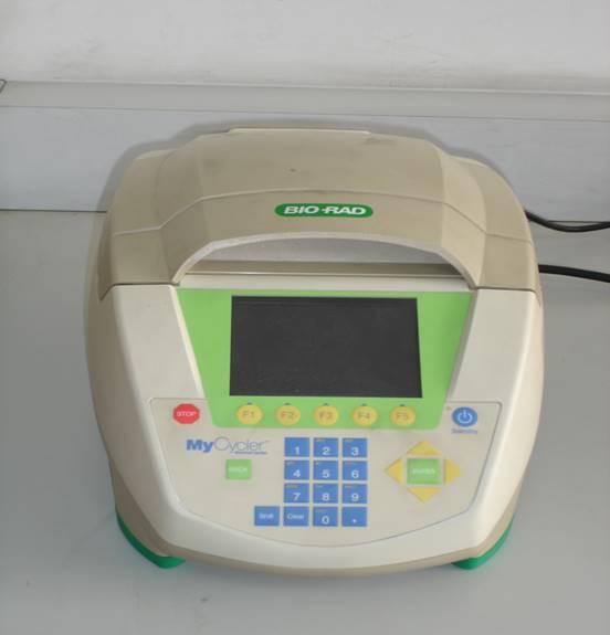 BioRad MyCycler PCR扩增仪