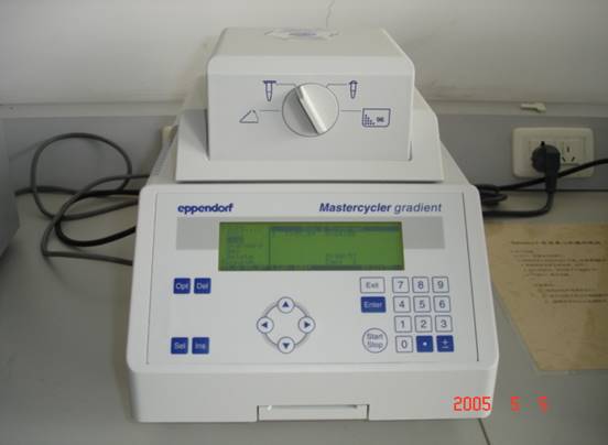 EppendorfMastercycler gradient