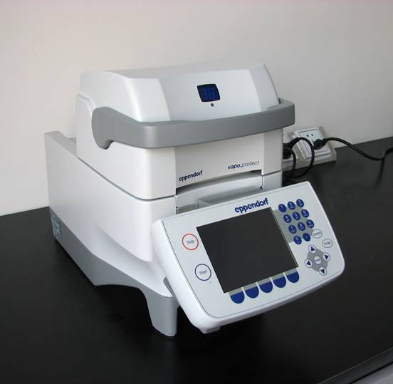 Eppendorf Mastercyclerpro 梯度PCR仪