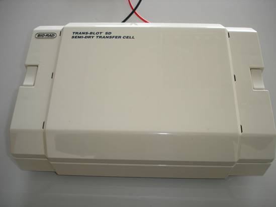 BIO-RADTrans-Blot SD半干转印槽