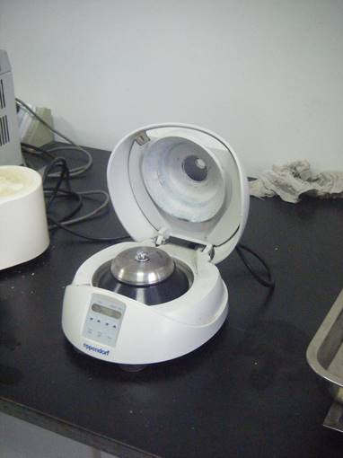 EppendorfMiniSpin个人高速离心机