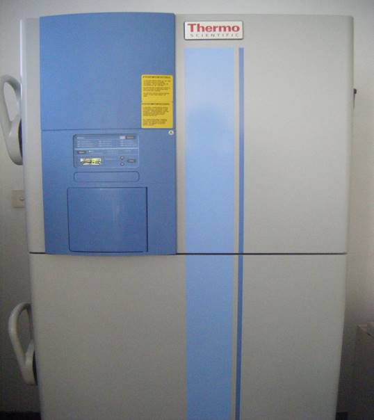 Thermo超低温冰箱
