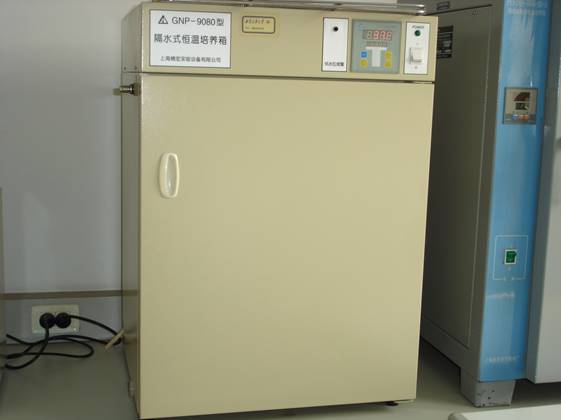 隔水式电热恒温培养箱
